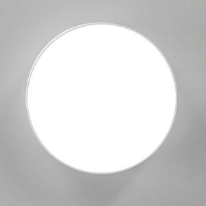 Светильник потолочный Тао CL712120N