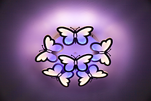Потолочная люстра Butterfly 10205/5LED
