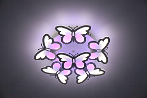 Потолочная люстра Butterfly 10205/5LED