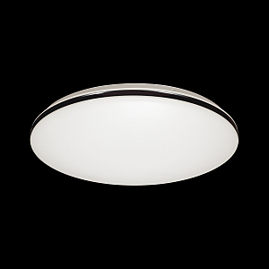 Настенно потолочный светильник Vaka 3042/CL