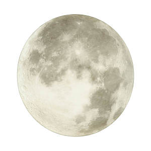 Настенно потолочный светильник Moon 3084/DL