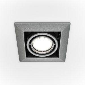Карданный светильник Metal DL008-2-01-S