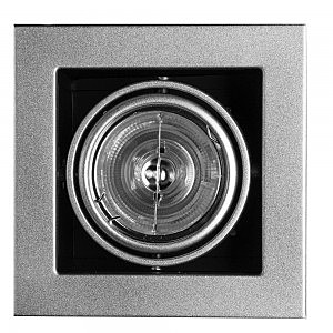 Карданный светильник Cardani A5930PL-1SI