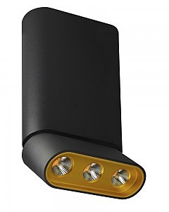 Накладной светильник Фергус 8005/3CM-BK-GD