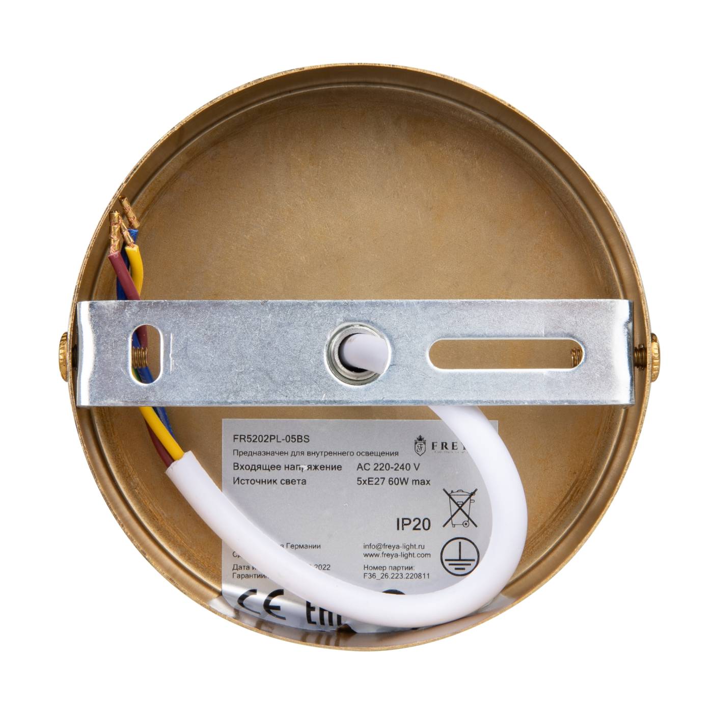 FR5202PL-05BS Потолочная люстра Freya Camelia FR5202PL-05BS