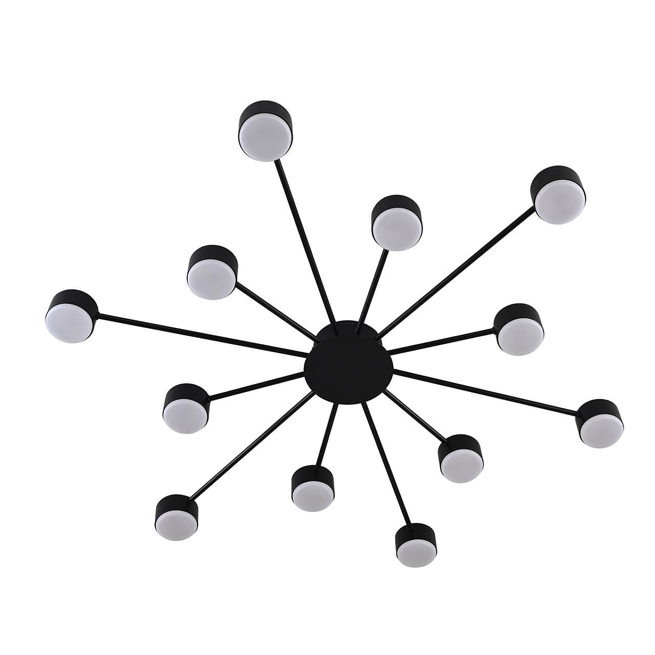 Потолочная люстра Lumion Torina 8344/12C