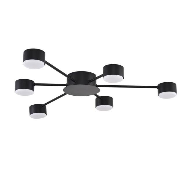 Потолочная люстра Lumion Torina 8344/6C