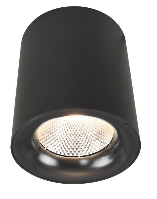 Накладной светильник Arte Lamp Facile A5118PL-1BK