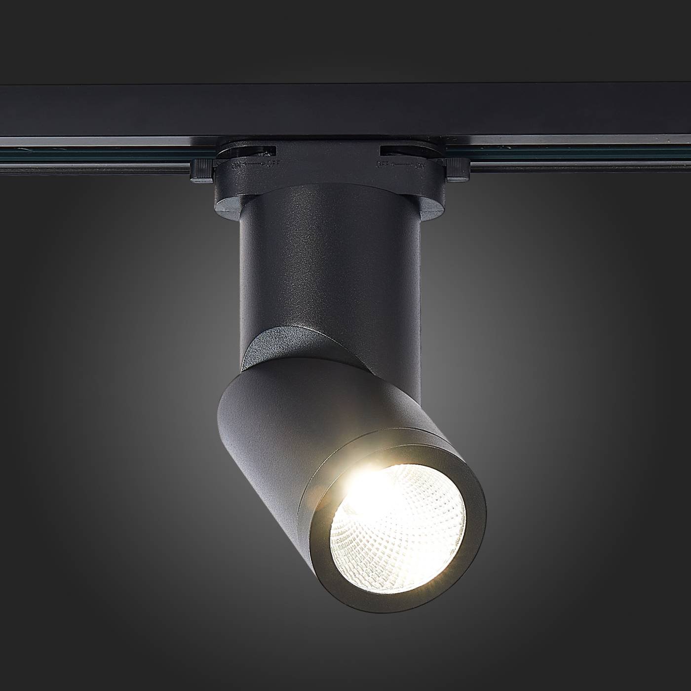 ST650.436.10 Трековый светильник ST Luce St650 ST650.436.10