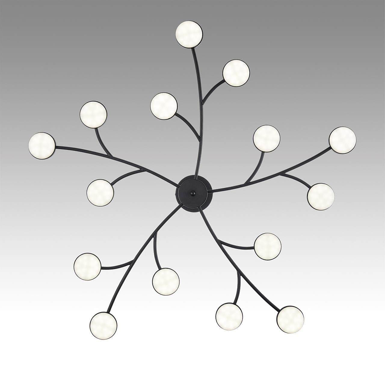 Потолочная люстра Lumion Torina 8117/15