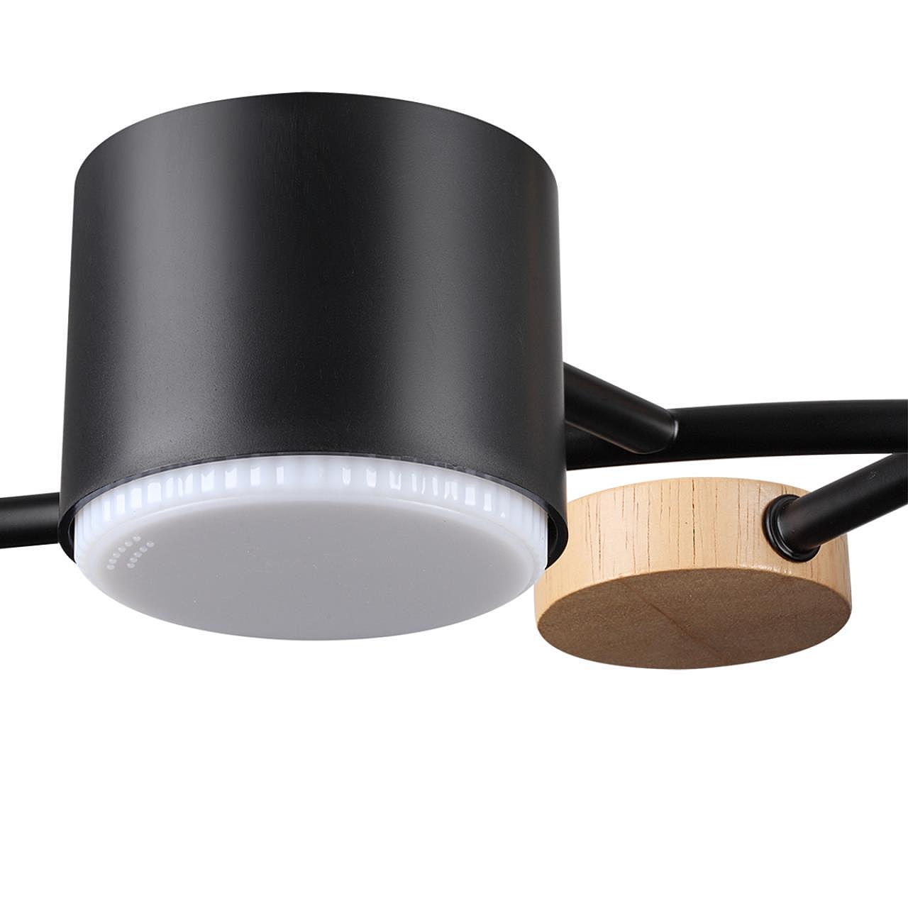 8194/5C Потолочная люстра Lumion Crypto 8194/5C