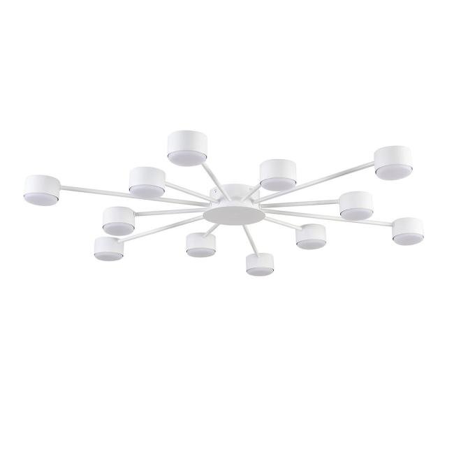 Потолочная люстра Lumion Torina 8343/12C