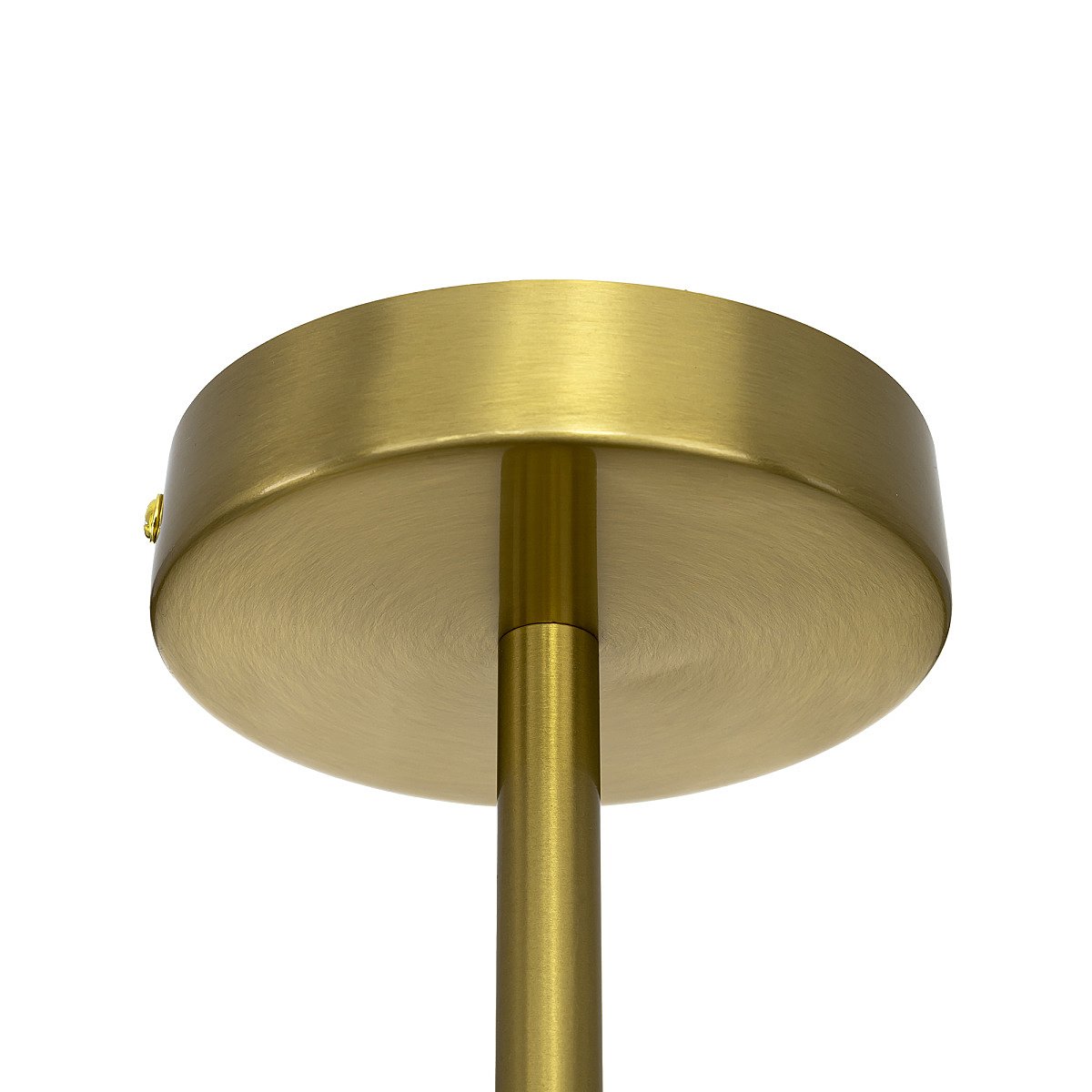 CL242133 Потолочная люстра Citilux Ronny CL242133