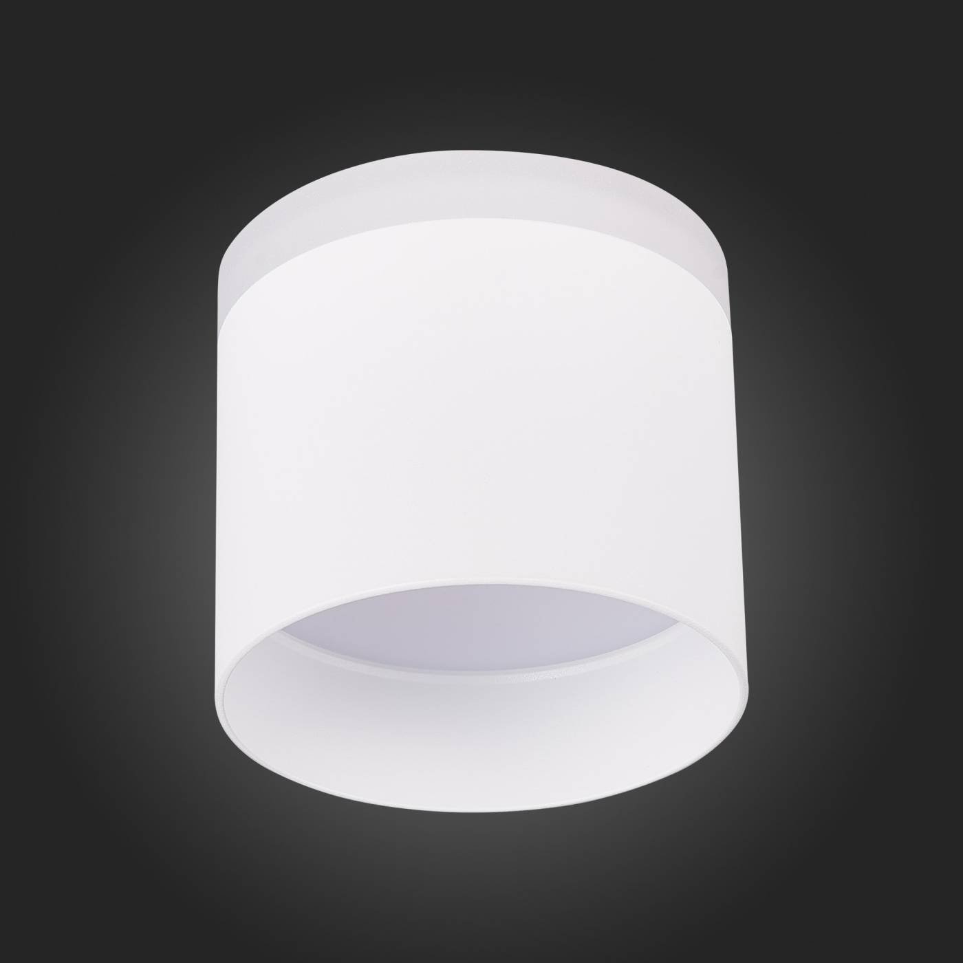 ST102.542.12 Накладной светильник ST Luce Panaggio ST102.542.12