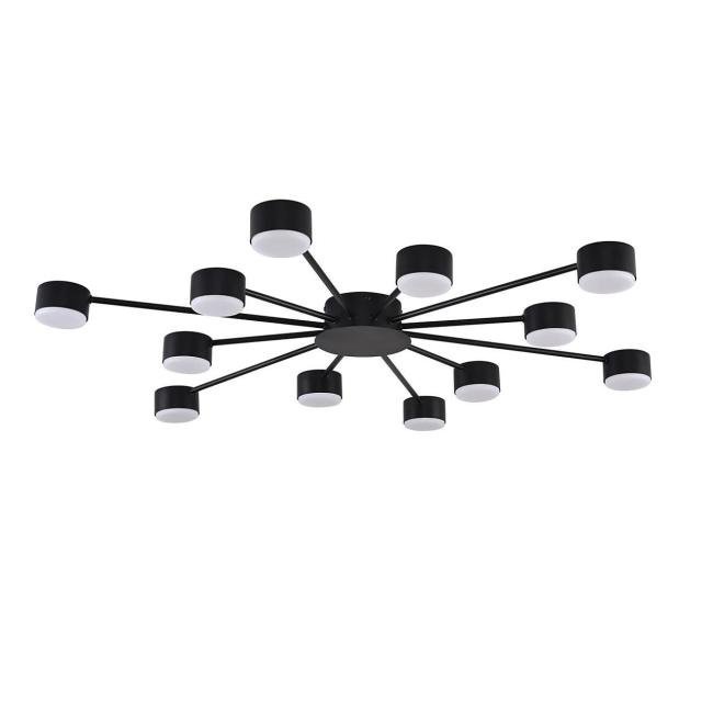 Потолочная люстра Lumion Torina 8344/12C