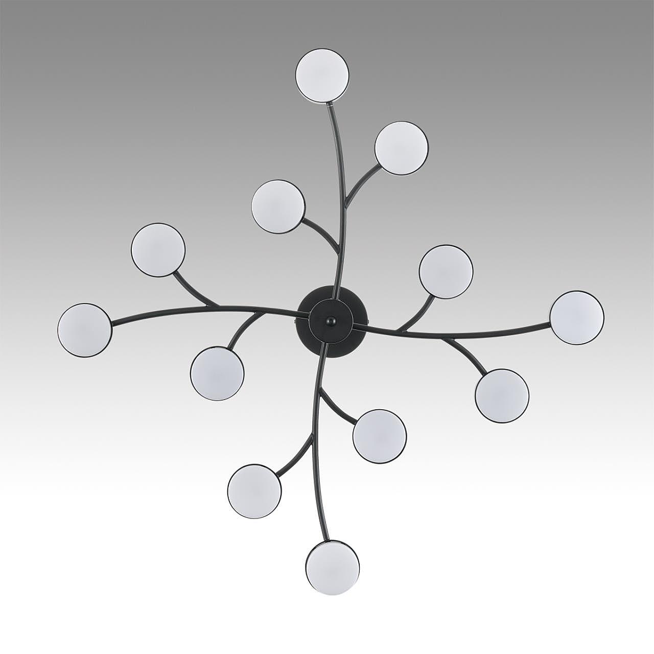 Потолочная люстра Lumion Torina 8117/12