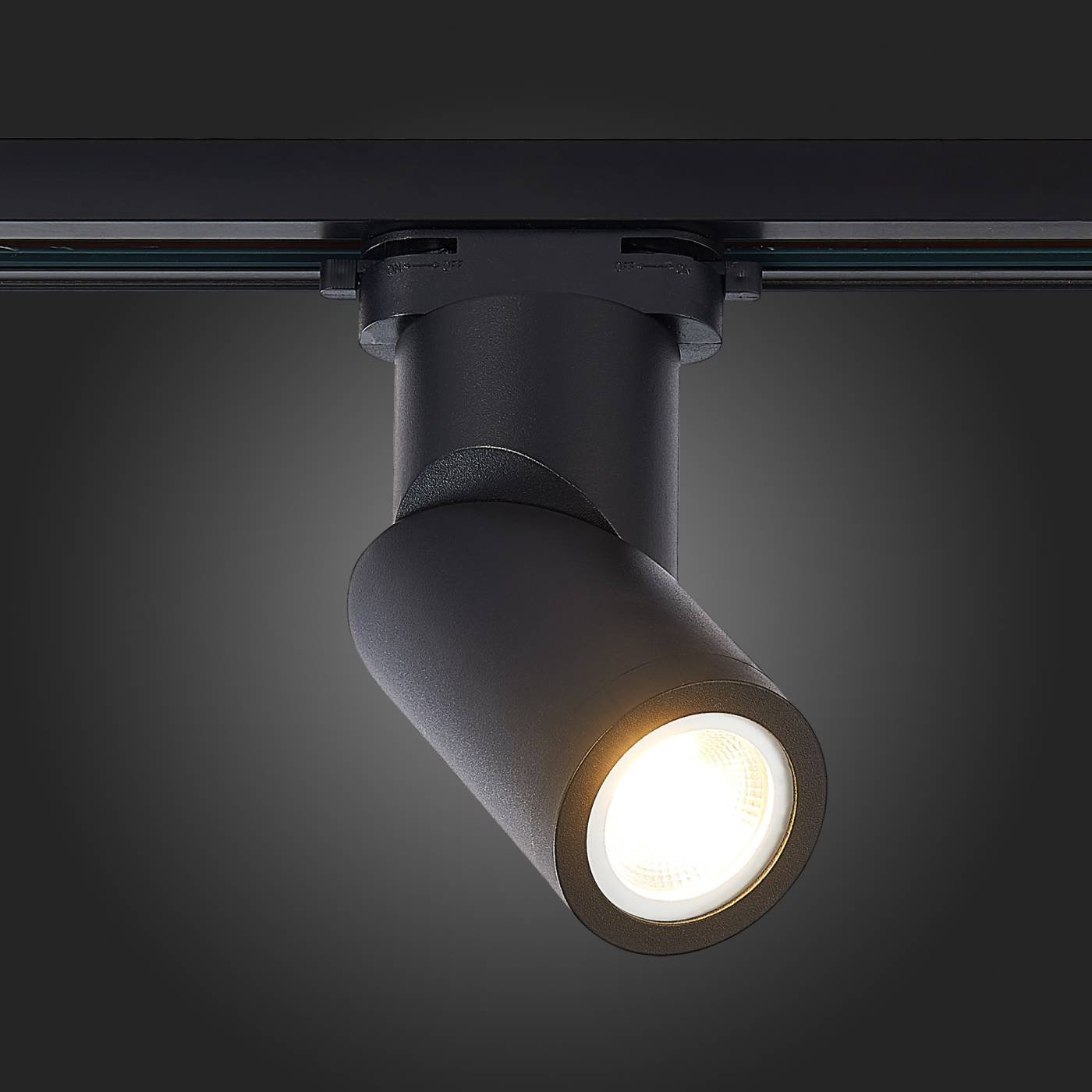 ST650.406.01 Трековый светильник ST Luce St650 ST650.406.01