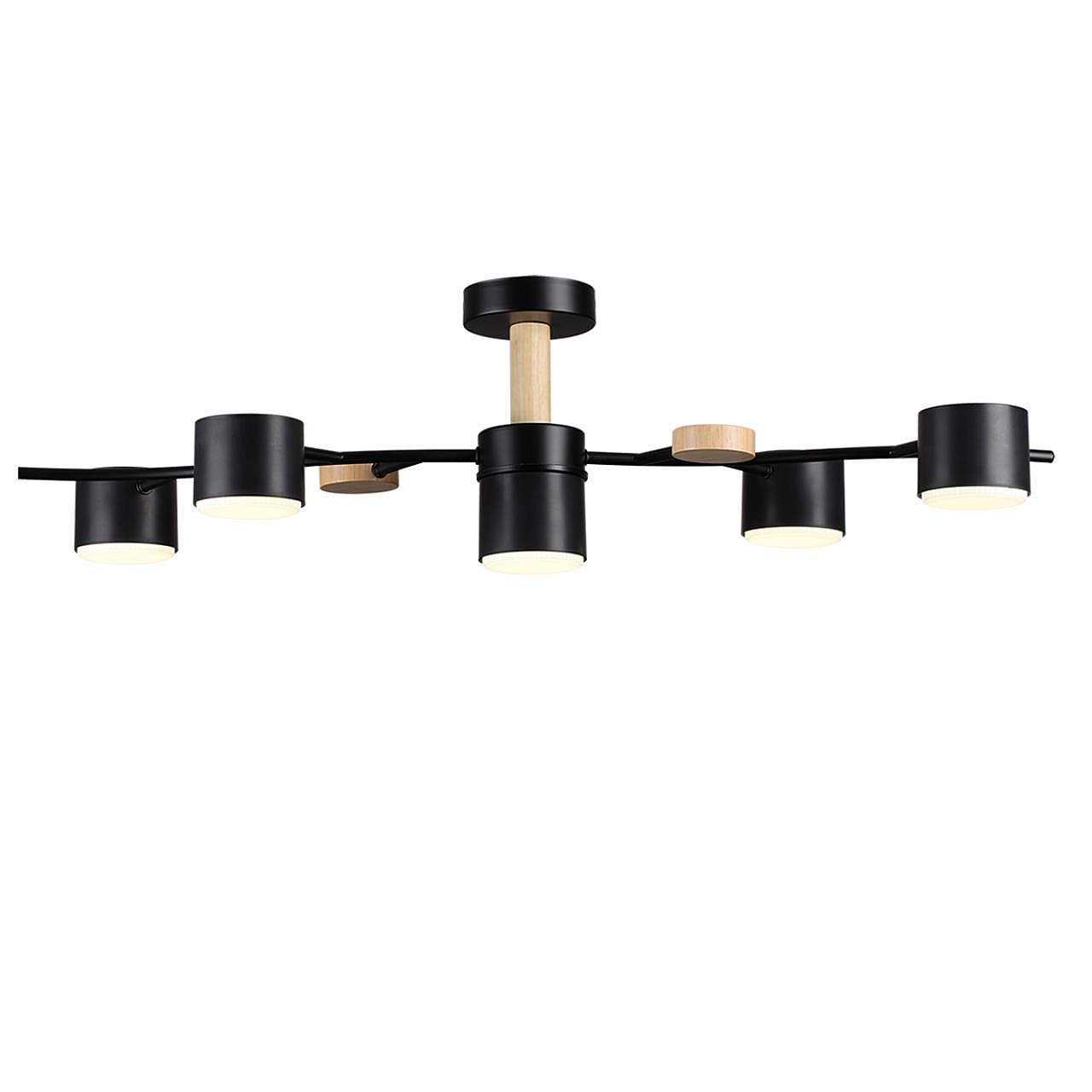 8194/5C Потолочная люстра Lumion Crypto 8194/5C