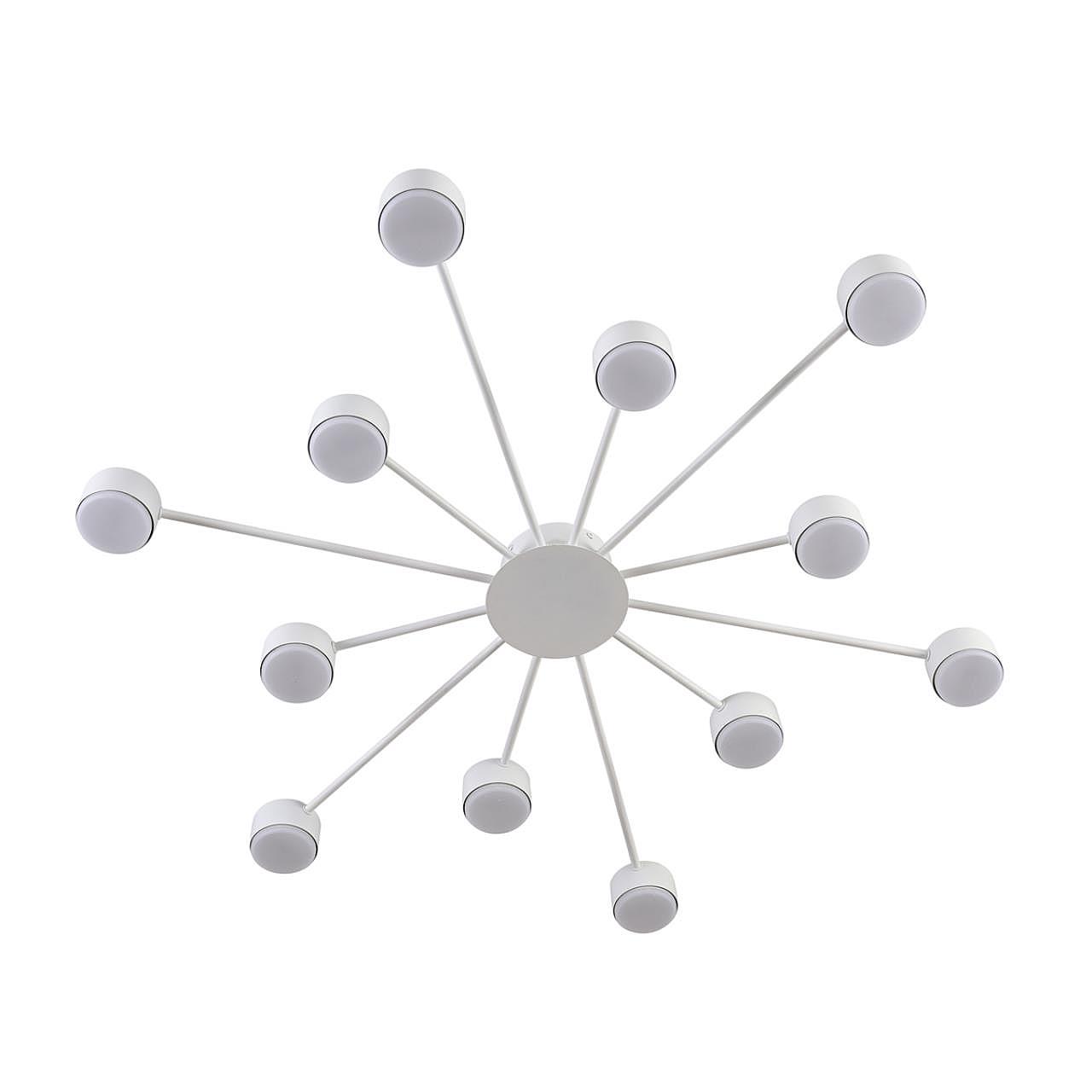 Потолочная люстра Lumion Torina 8343/12C