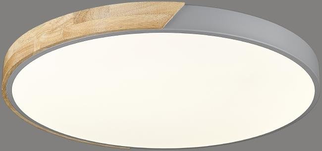 445-267-01 Светильник потолочный Velante 445-267-01