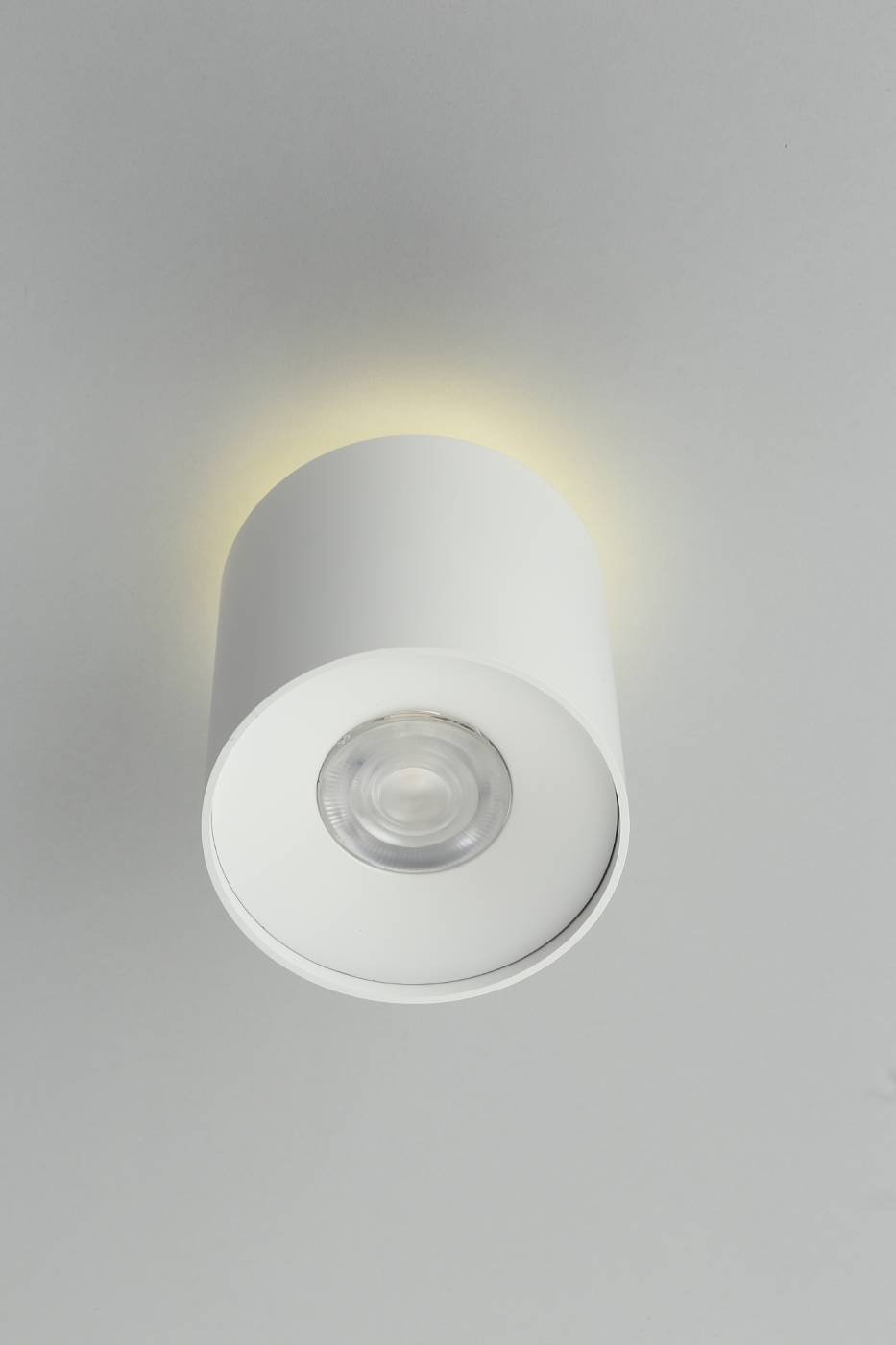 OML-100309-16 Накладной светильник Omnilux Torino OML-100309-16