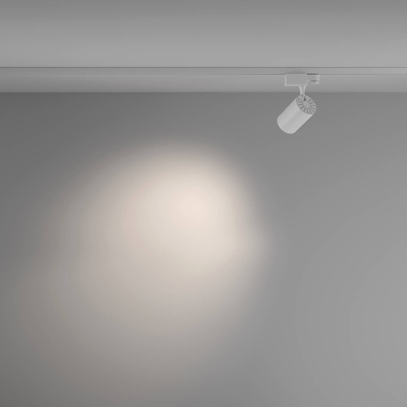 TR029-3-10W4K-M-W Трековый светильник Maytoni Vuoro Trinity TR029-3-10W4K-M-W