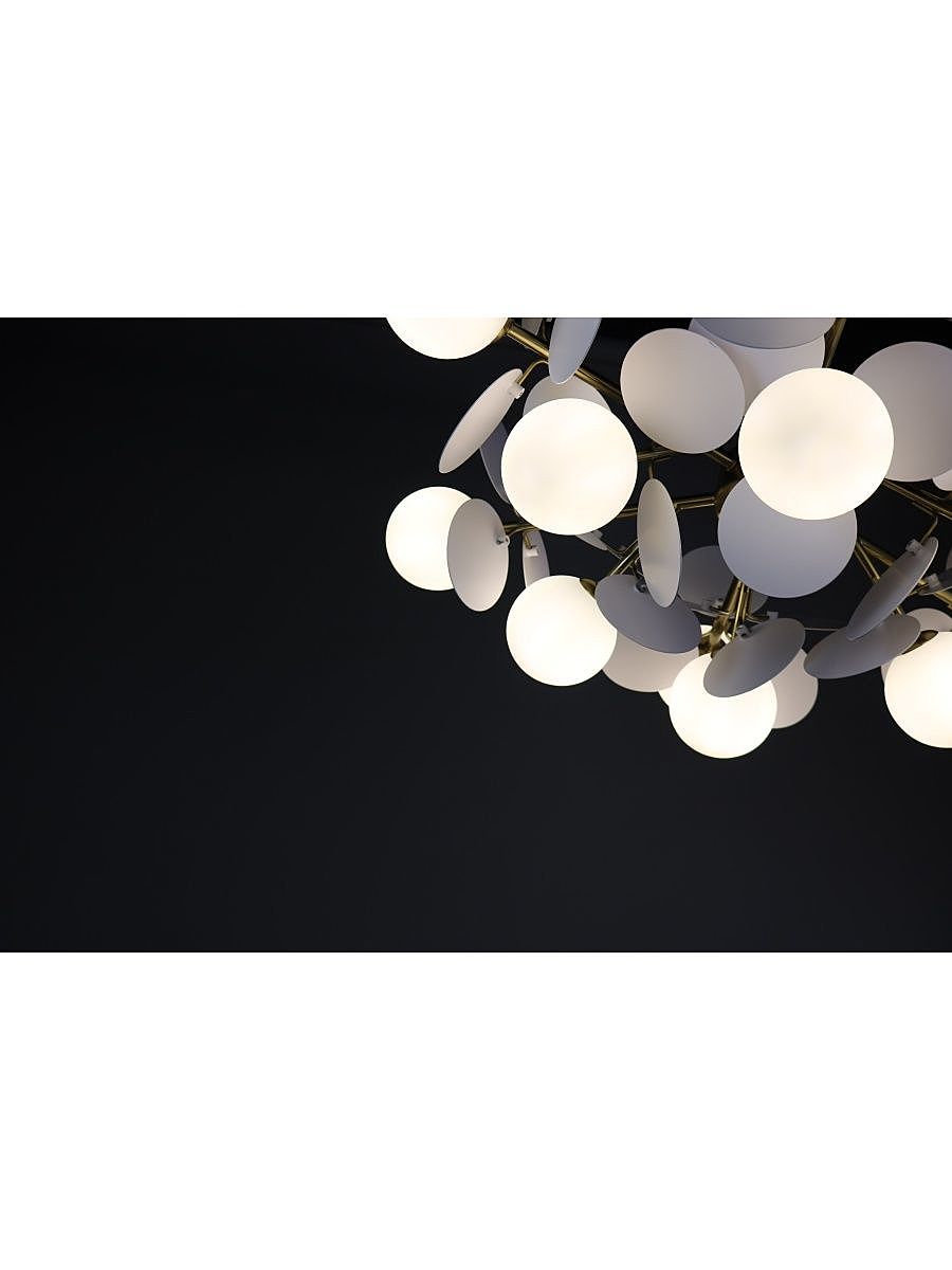 Потолочная люстра Zortes Floret ZRS.01201.12