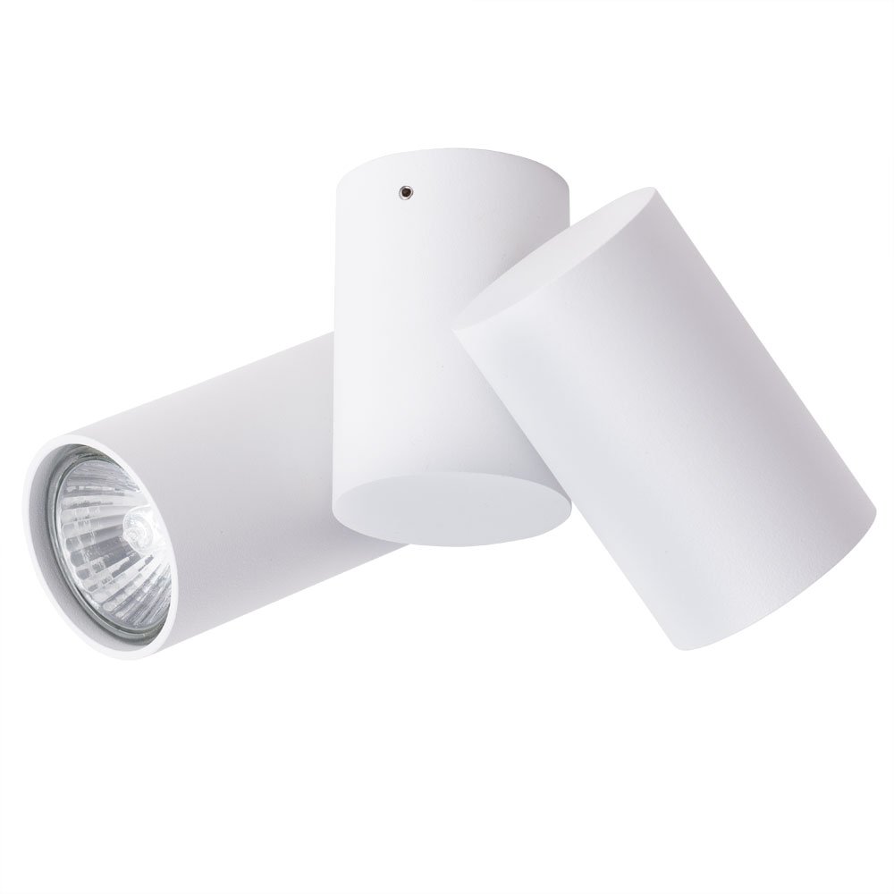 A1511PL-2WH Накладной светильник Arte Lamp Gavroche A1511PL-2WH