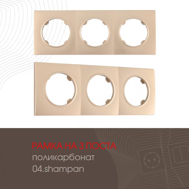 502.04-3.shampan Рамка Arte Milano Am-502.04 502.04-3.shampan