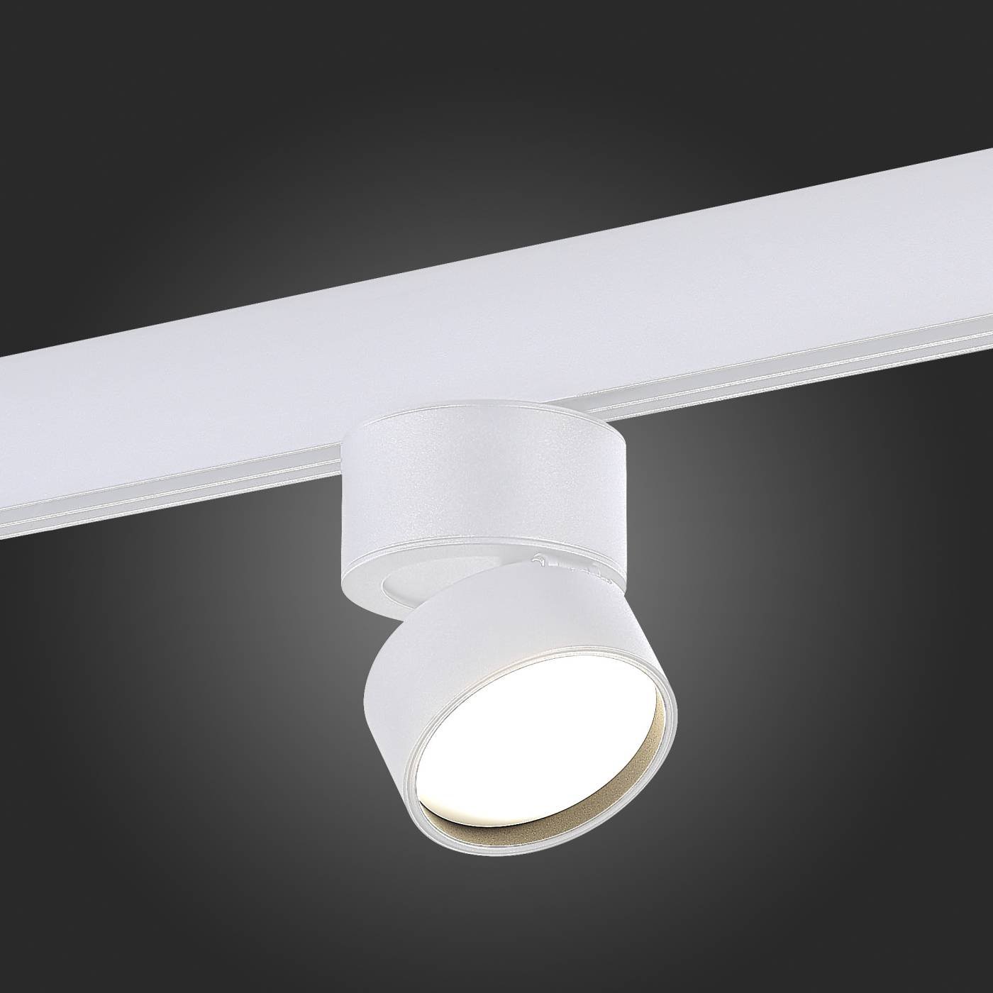ST809.546.09 Трековый светильник ST Luce St809 ST809.546.09