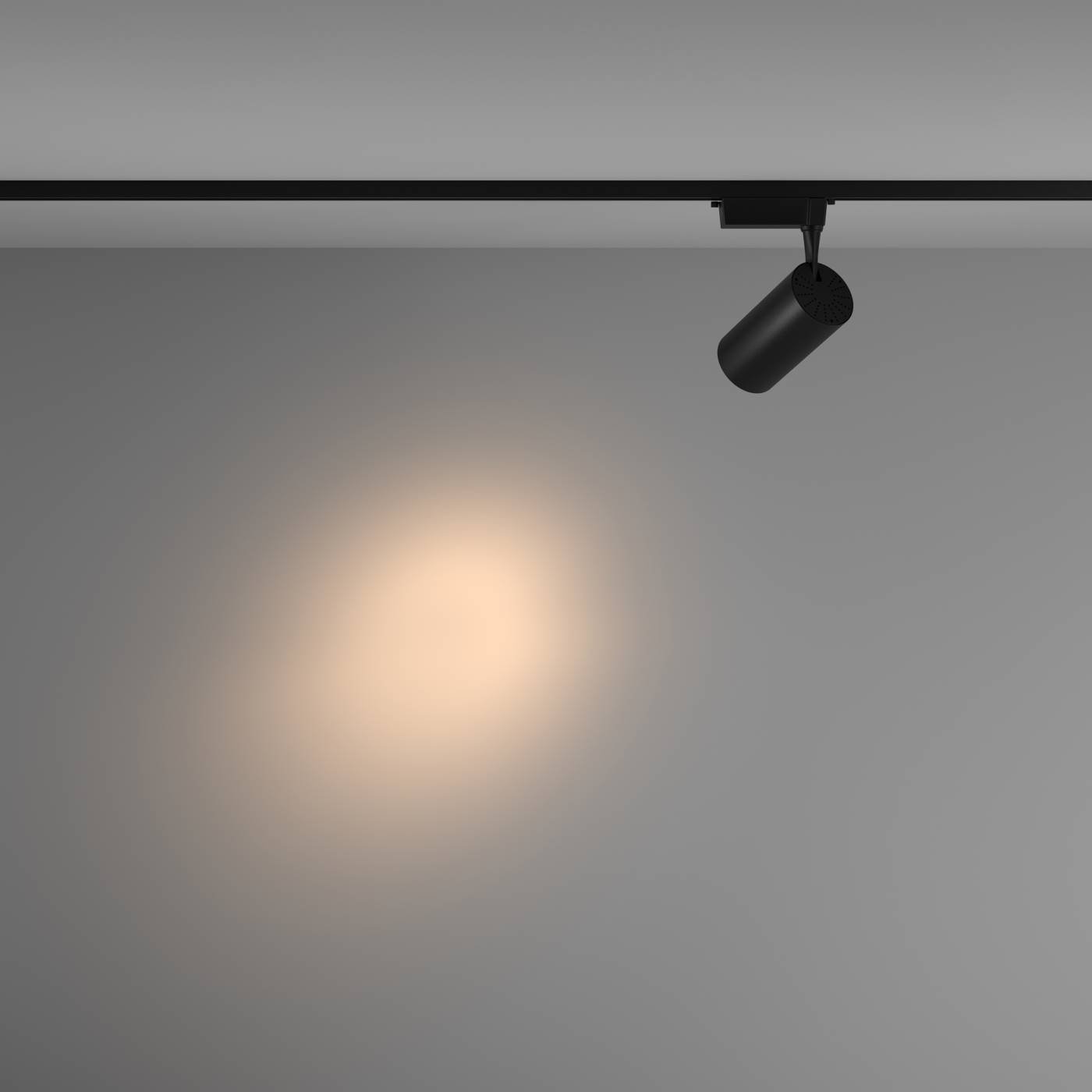 Трековый светильник Maytoni Vuoro TR003-1-36W3K-S-B