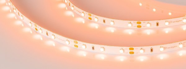 LED лента Arlight RT открытая 013568(2)