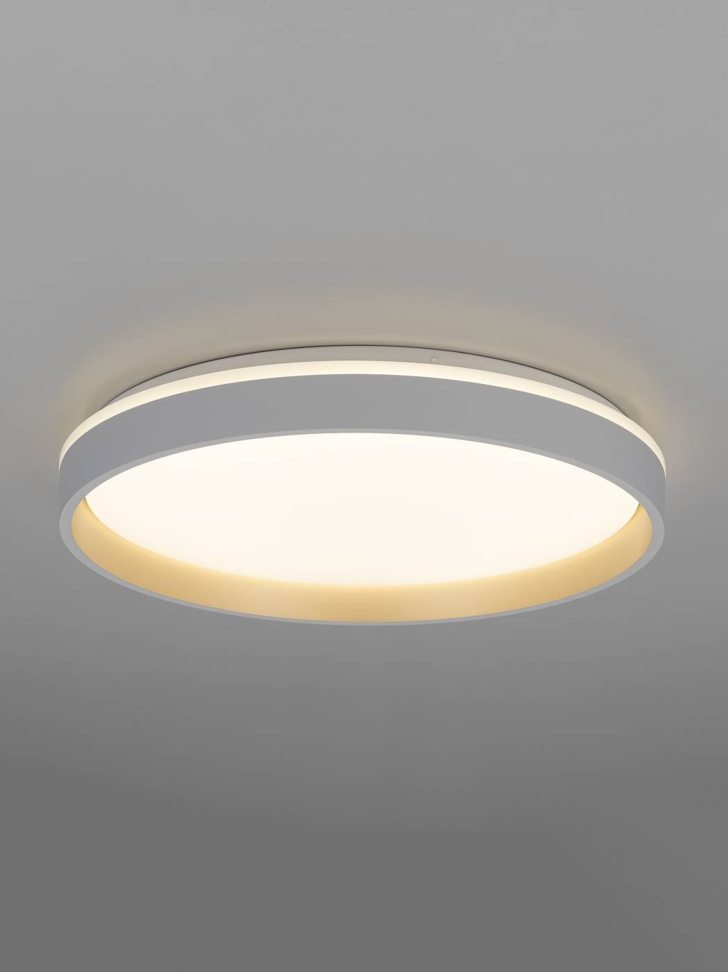 CL753450G Светильник потолочный Citilux Enzo CL753450G