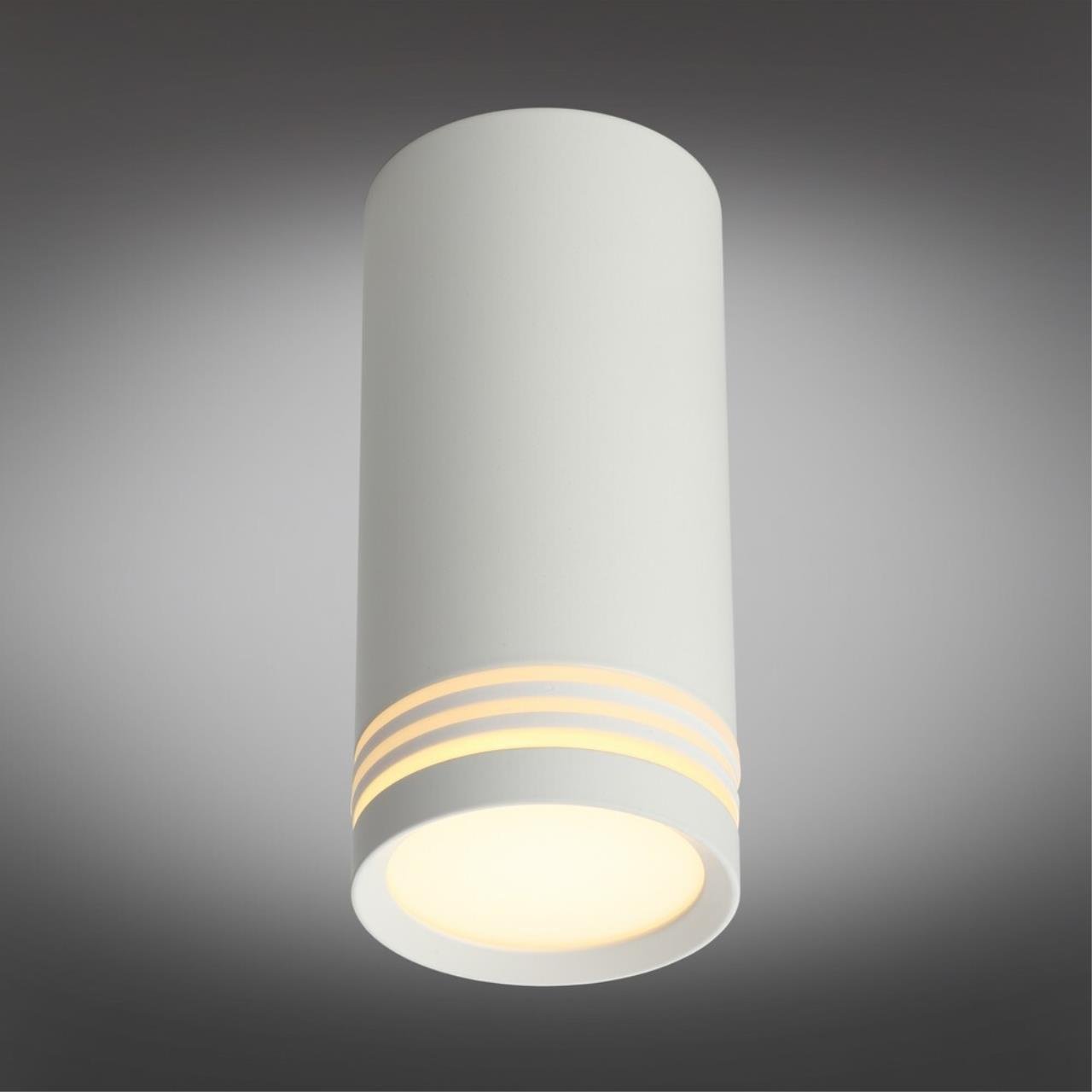 OML-100809-01 Накладной светильник Omnilux Olona OML-100809-01
