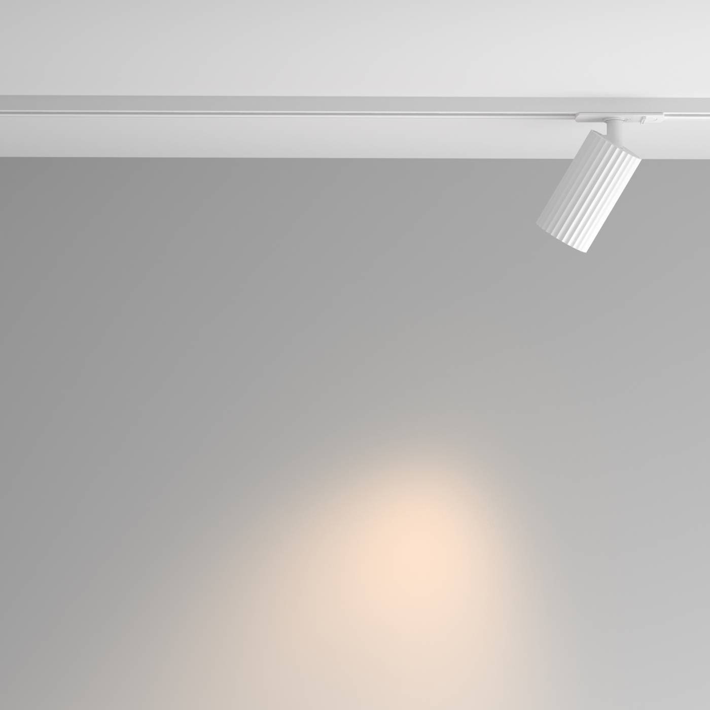 Трековый светильник Maytoni Calipso TR218-1-GU10-W