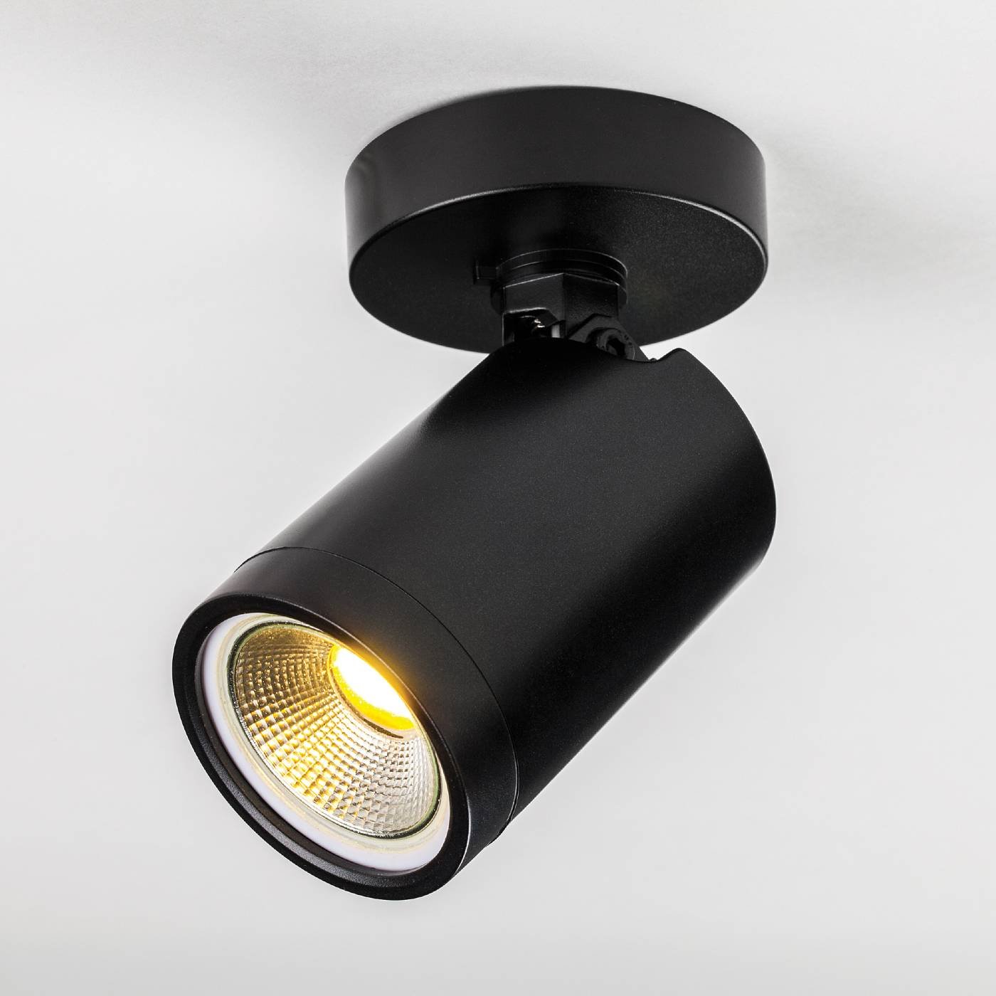 Светильник спот Lightstar Rullo 213407