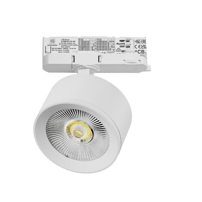 Трековый светильник Lightstar Alta Pro A5536QT
