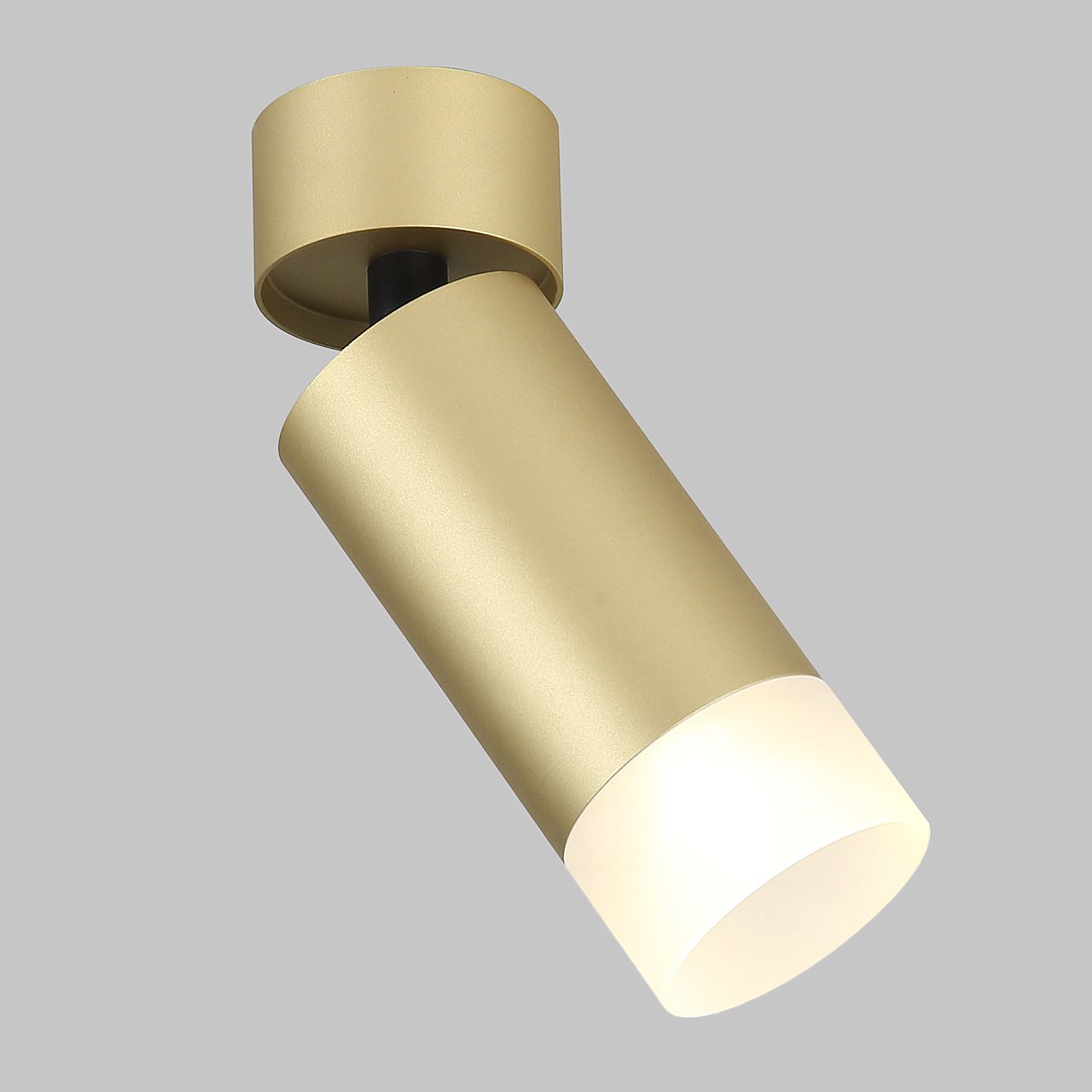 IL.0005.4801 MG Светильник спот IMEX Leon Gu10 IL.0005.4801 MG