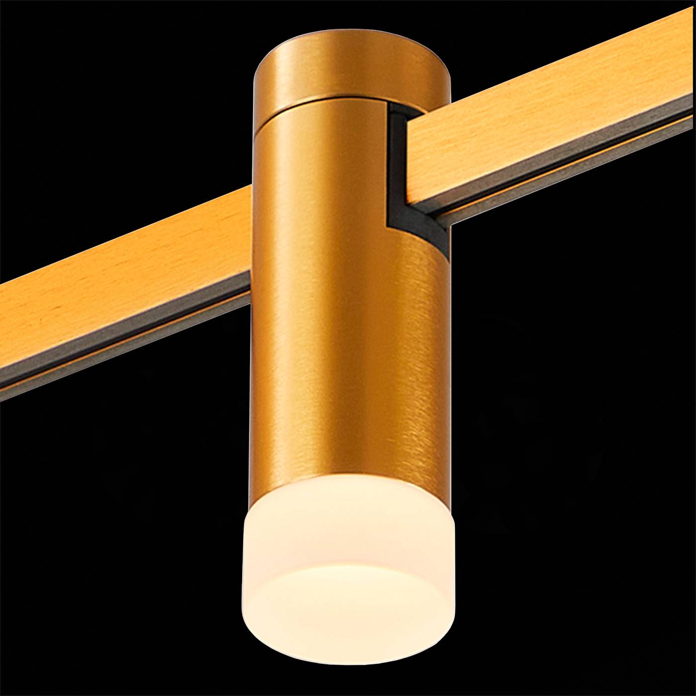 Трековый светильник ST Luce Farm ST812.206.03