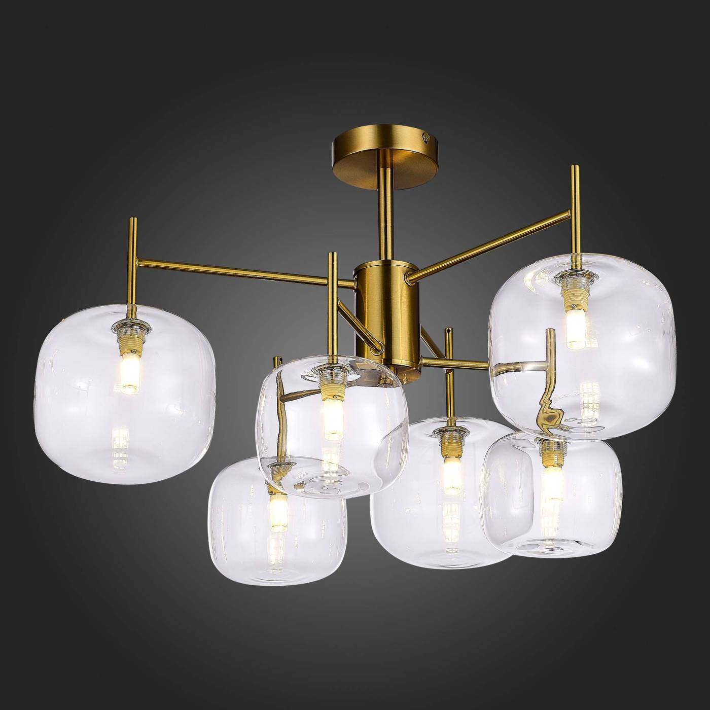 Потолочная люстра ST Luce Finn SL1049.302.06