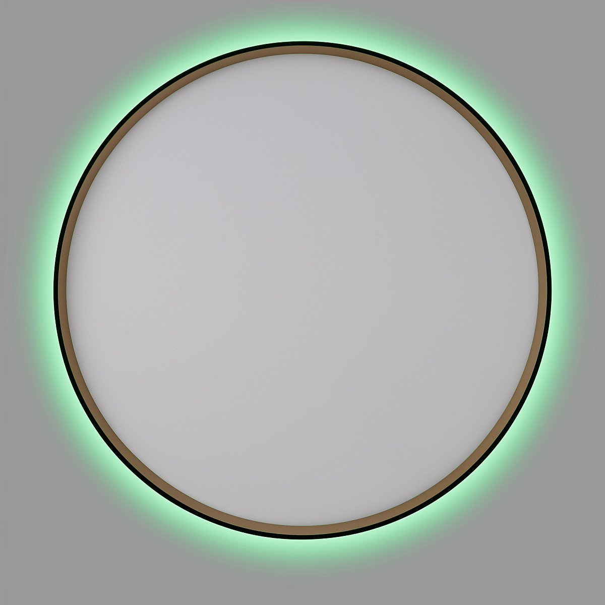 Светильник потолочный Citilux Etalon CL750501R