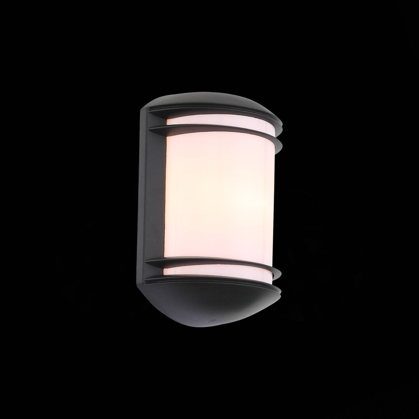 SL076.401.01 Уличный настенный светильник ST Luce Agio SL076.401.01