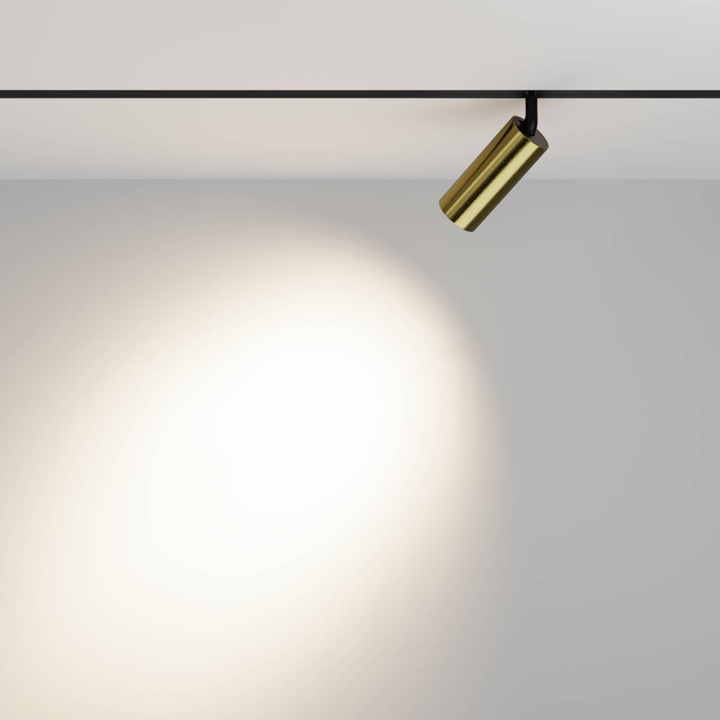 Трековый светильник Maytoni Focus LED Exility TR032-2-12W4K-M-BBS