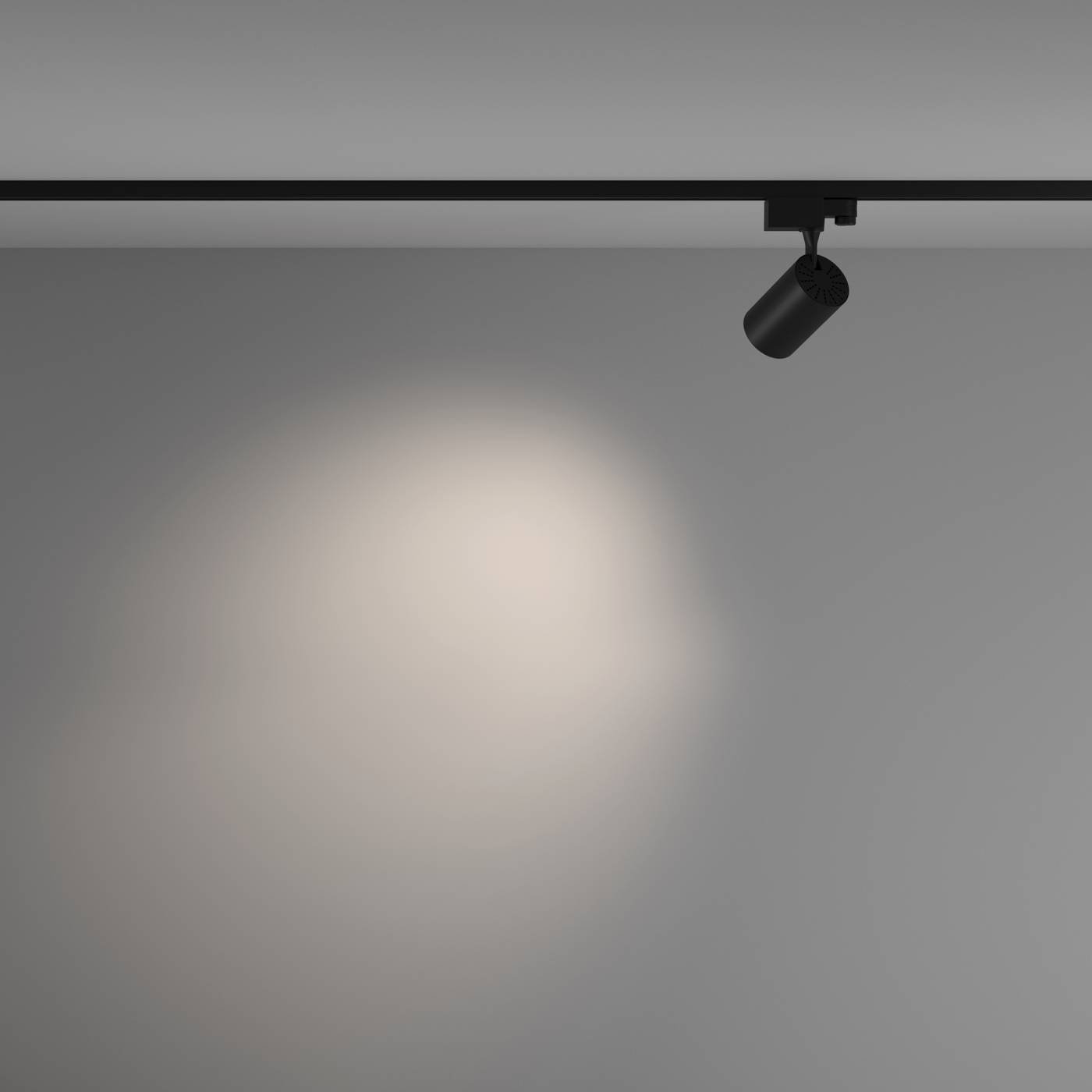 Трековый светильник Maytoni Vuoro Trinity TR029-3-10W4K-M-B