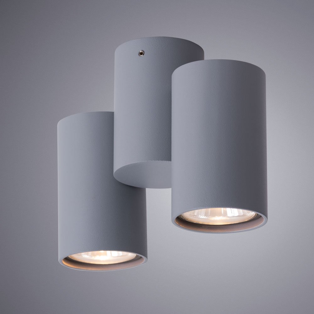 A1511PL-2GY Накладной светильник Arte Lamp Gavroche A1511PL-2GY