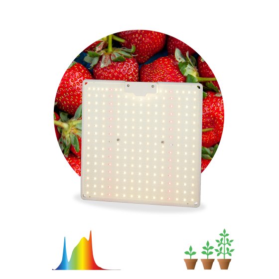Лампа для растений ЭРА Quantum board FITO-80W-LED-QB