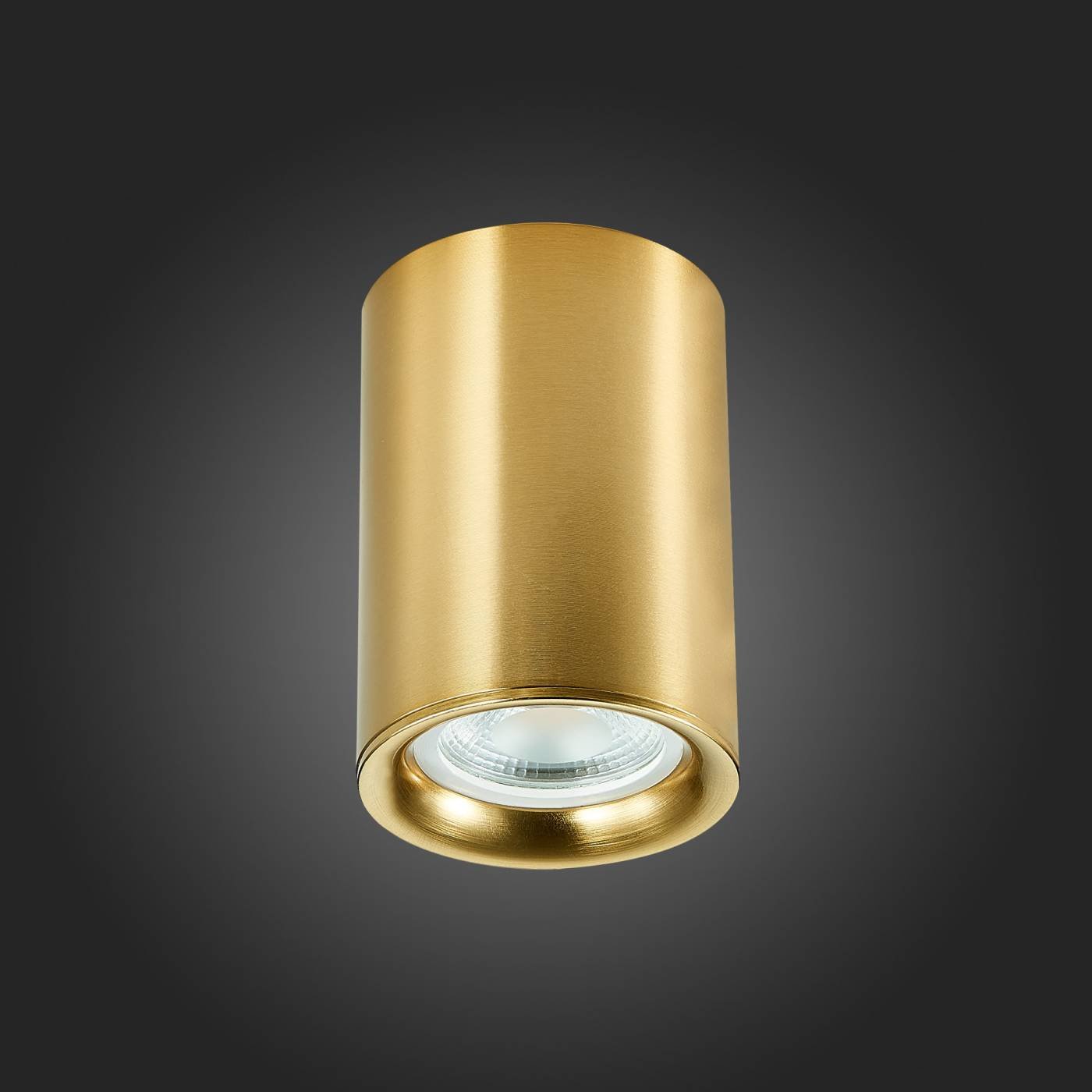 Накладной светильник ST Luce ST114 ST114.207.01