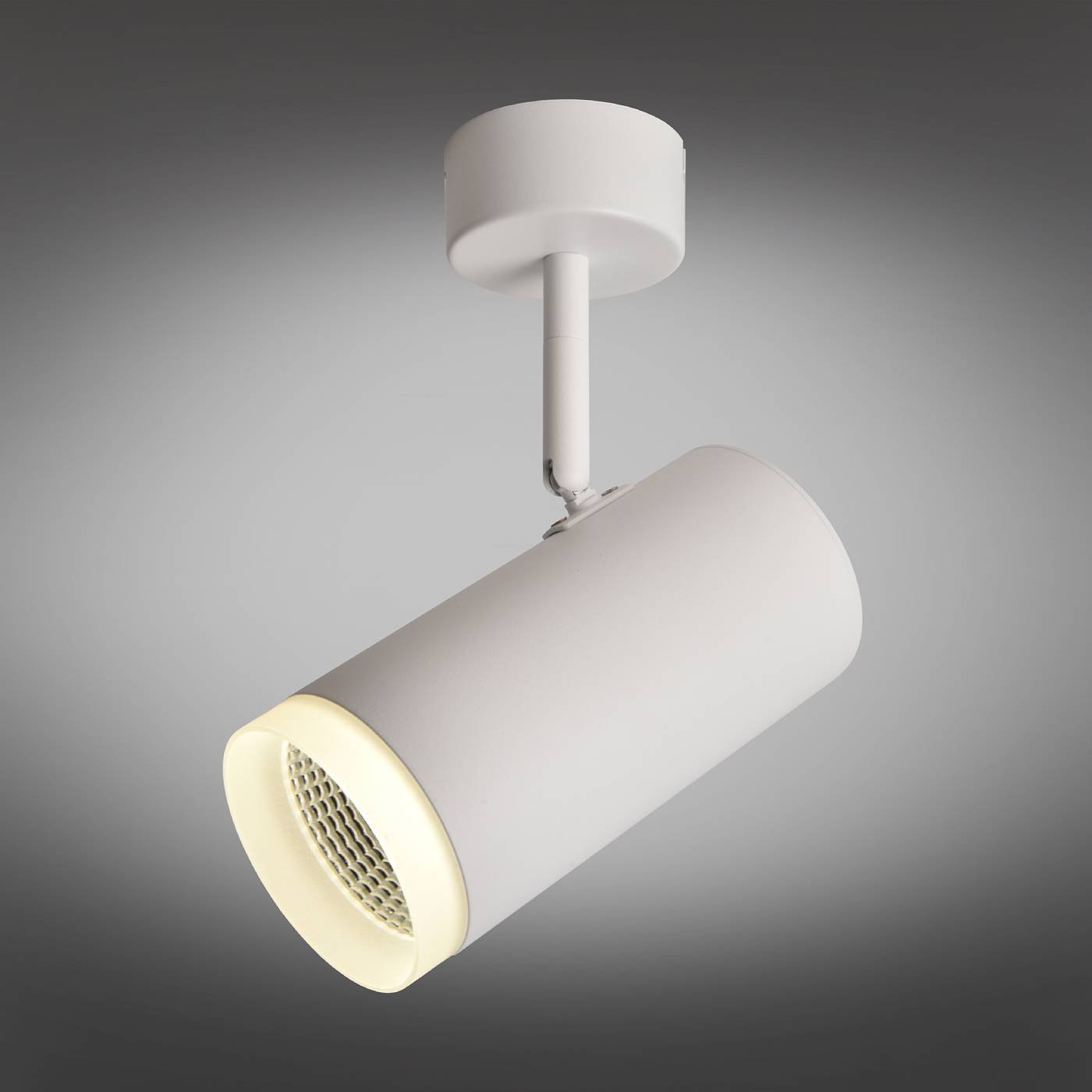 OML-102609-20 Светильник спот Omnilux Maratea OML-102609-20