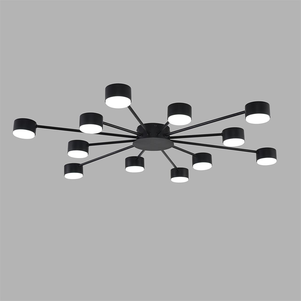 Потолочная люстра Lumion Torina 8344/12C