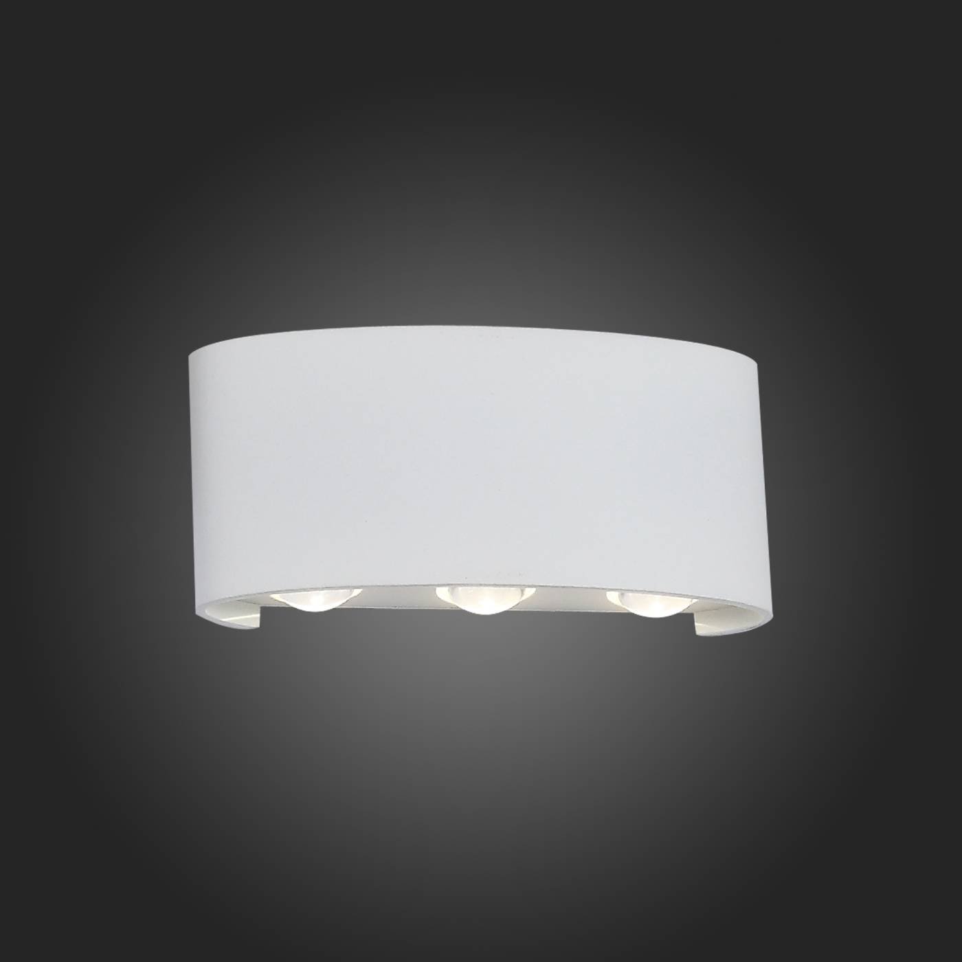 Уличный LED настенный светильник ST Luce Bisello SL089.501.06